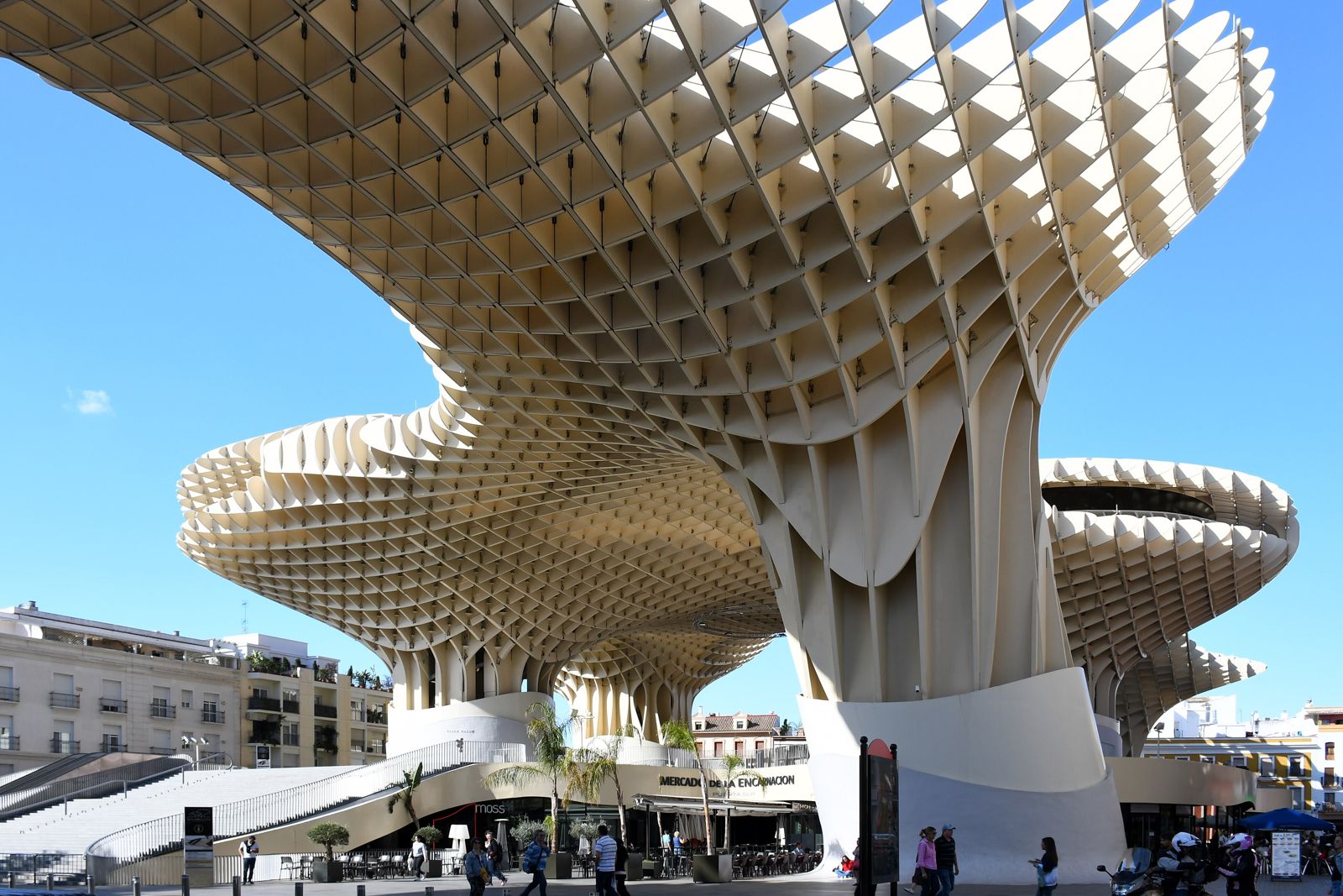 Cobertura de madeira em grelha das Setas de Sevilla vista de baixo